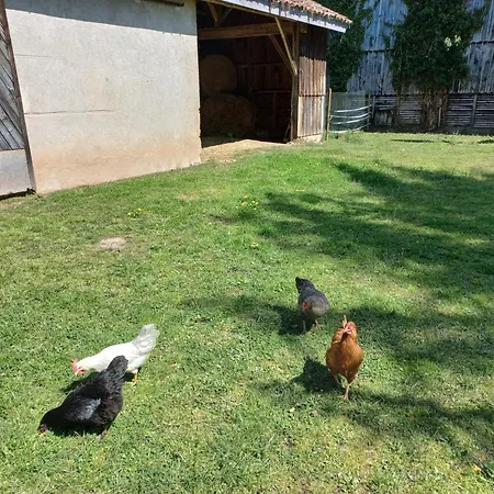 L' Embellie Sur Lot Oda ve Kahvaltı Sainte-Livrade-sur-Lot